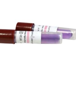 Indicador Biológico Esterilización BT20 100 viales